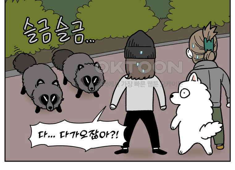 극한견주 시즌2 24화 너구리 29