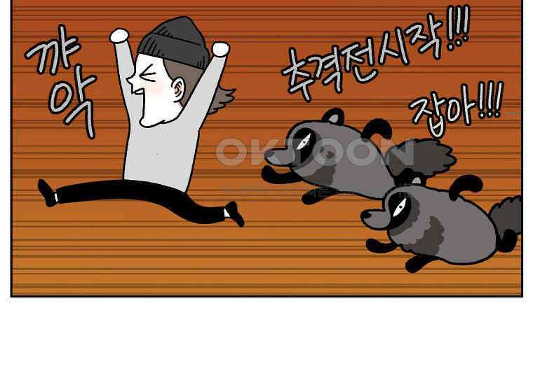 극한견주 시즌2 24화 너구리 32