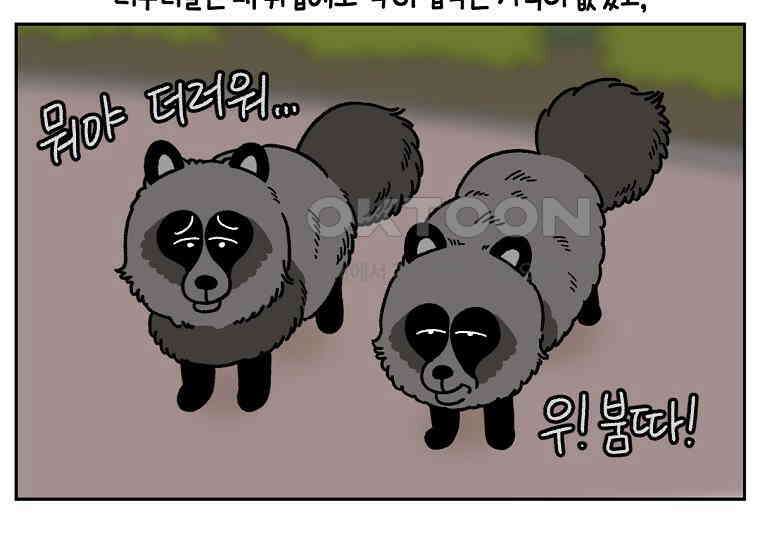 극한견주 시즌2 24화 너구리 35