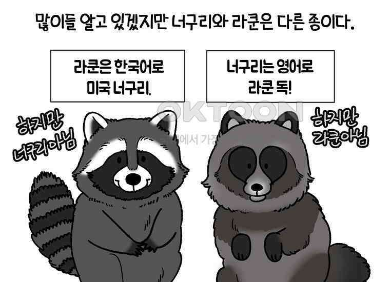 극한견주 시즌2 24화 너구리 47