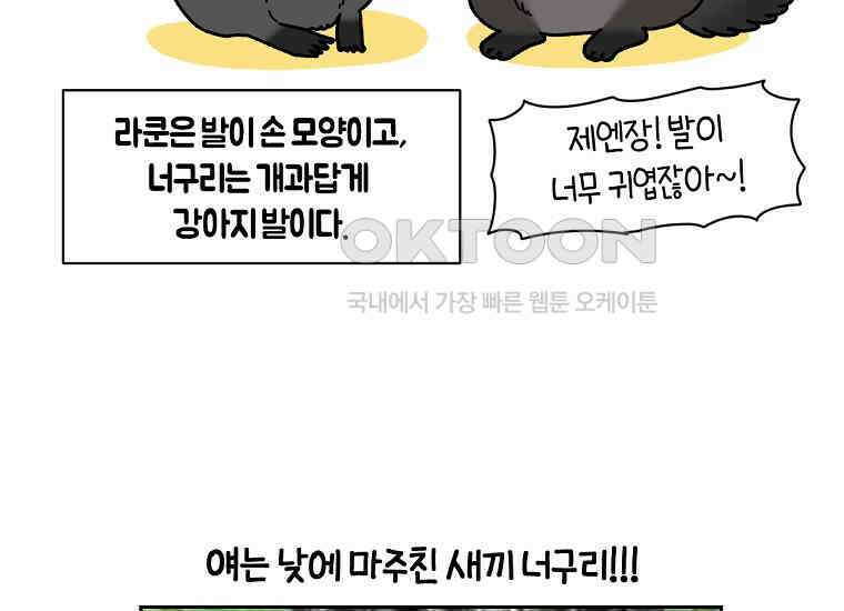 극한견주 시즌2 24화 너구리 48