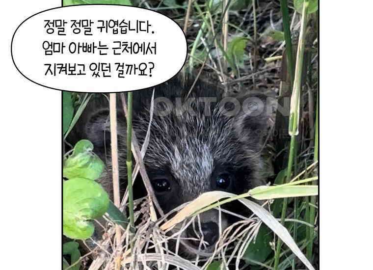 극한견주 시즌2 24화 너구리 49