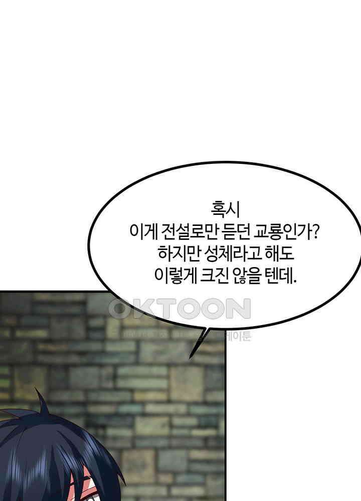 혼돈의 연단사 356 19