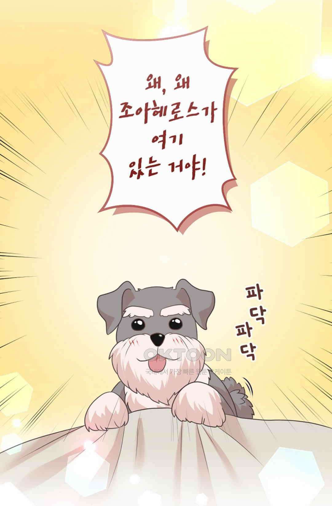 23번 파혼한 냉혈 후계자를 길들이는 법 77화 13