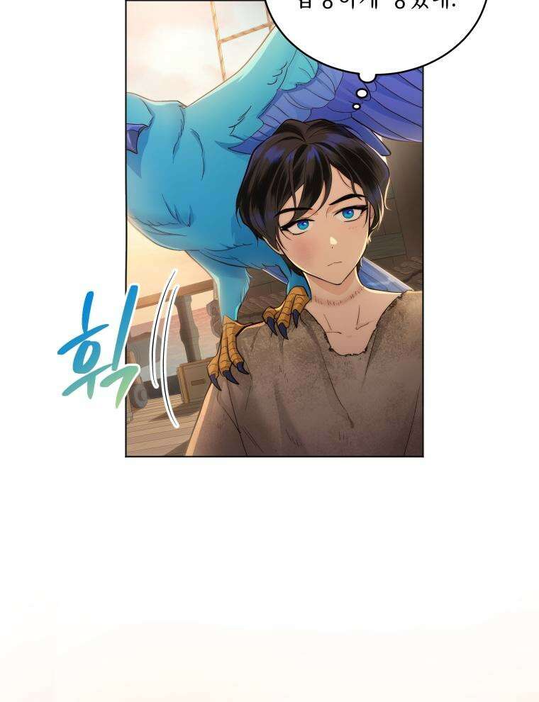 바다새와 늑대 4화 7