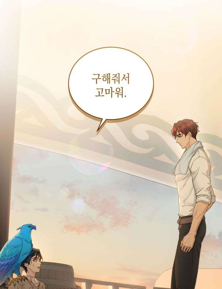 바다새와 늑대 4화 8