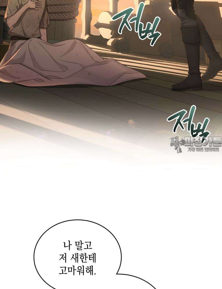 바다새와 늑대 4화 9
