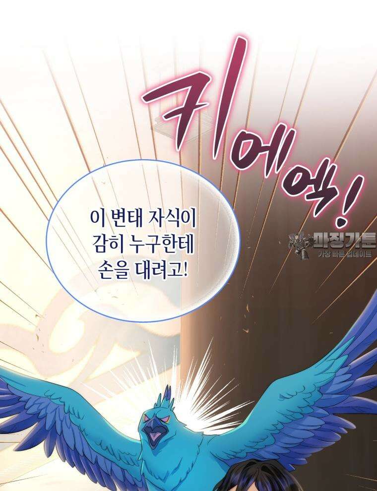 바다새와 늑대 4화 15