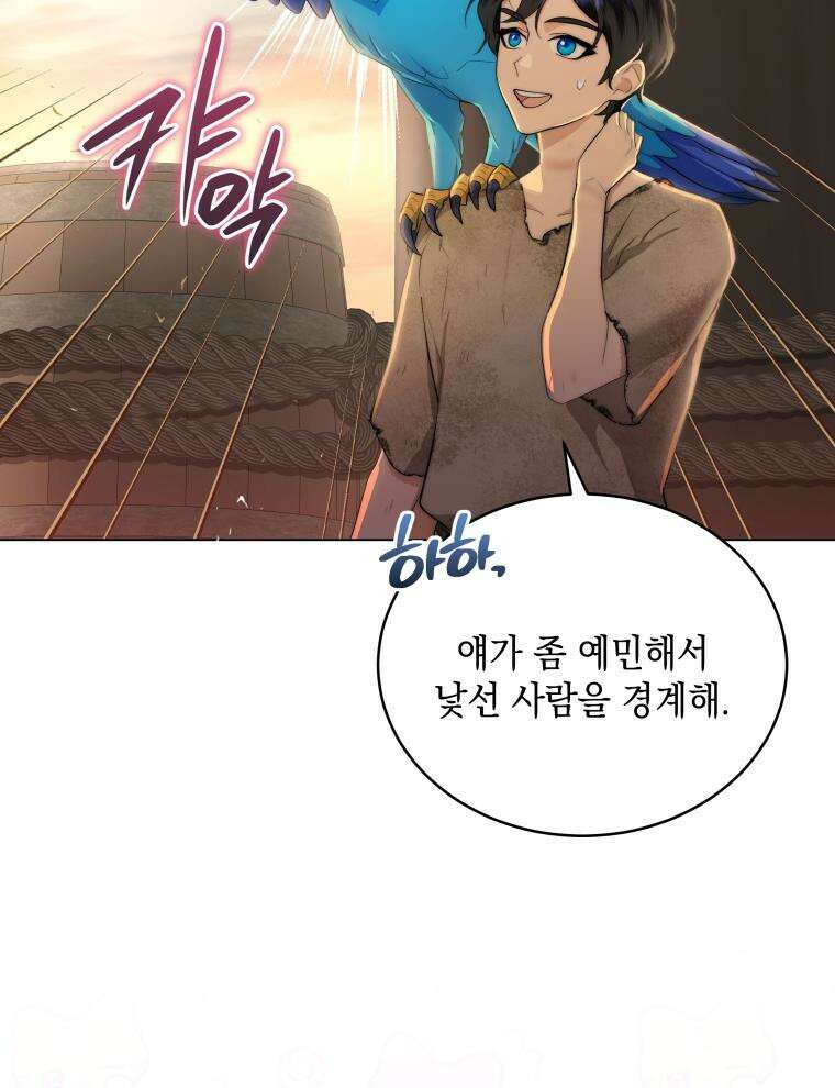 바다새와 늑대 4화 16