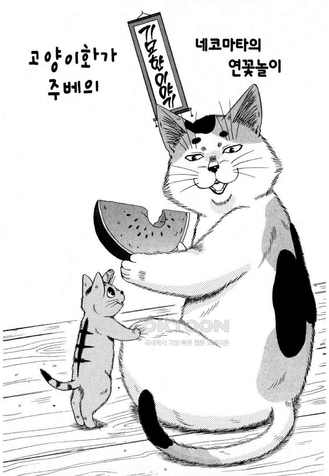 고양이화가 주베의 기묘한 이야기 31화 2