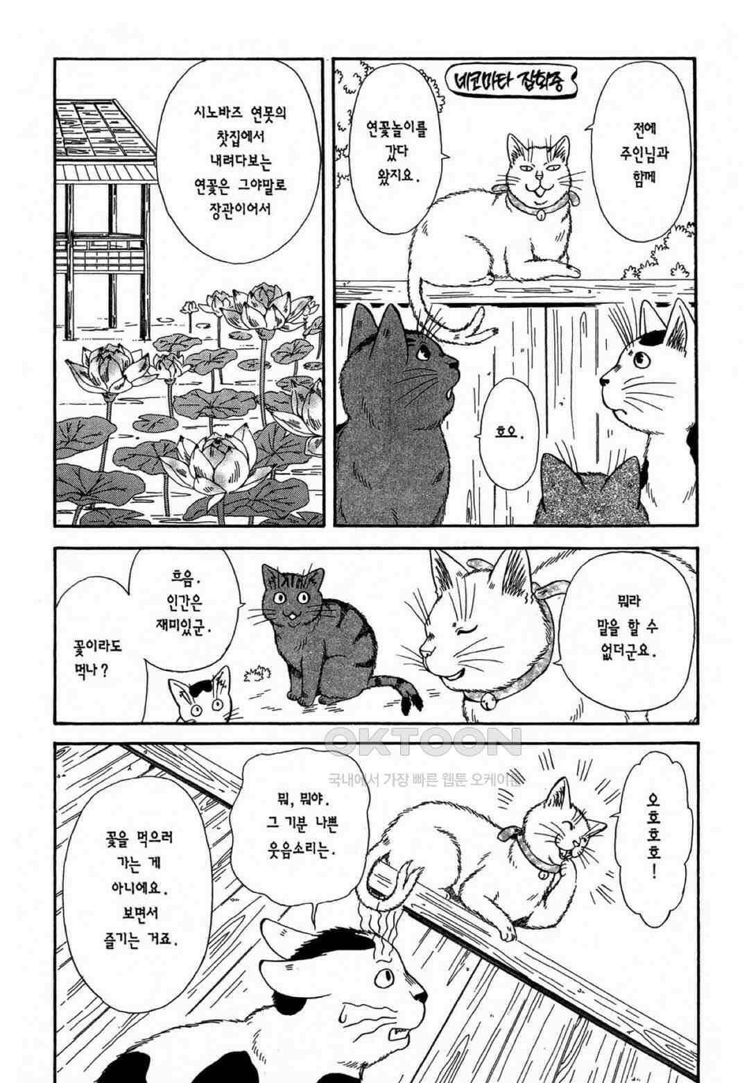 고양이화가 주베의 기묘한 이야기 31화 5
