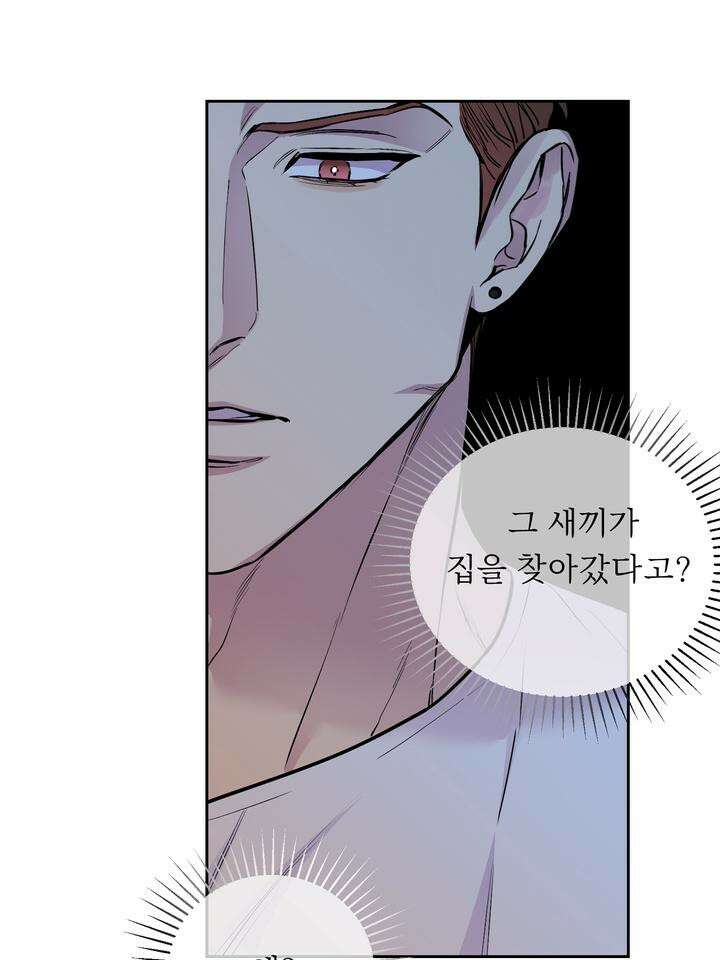 개와 새 36화 32