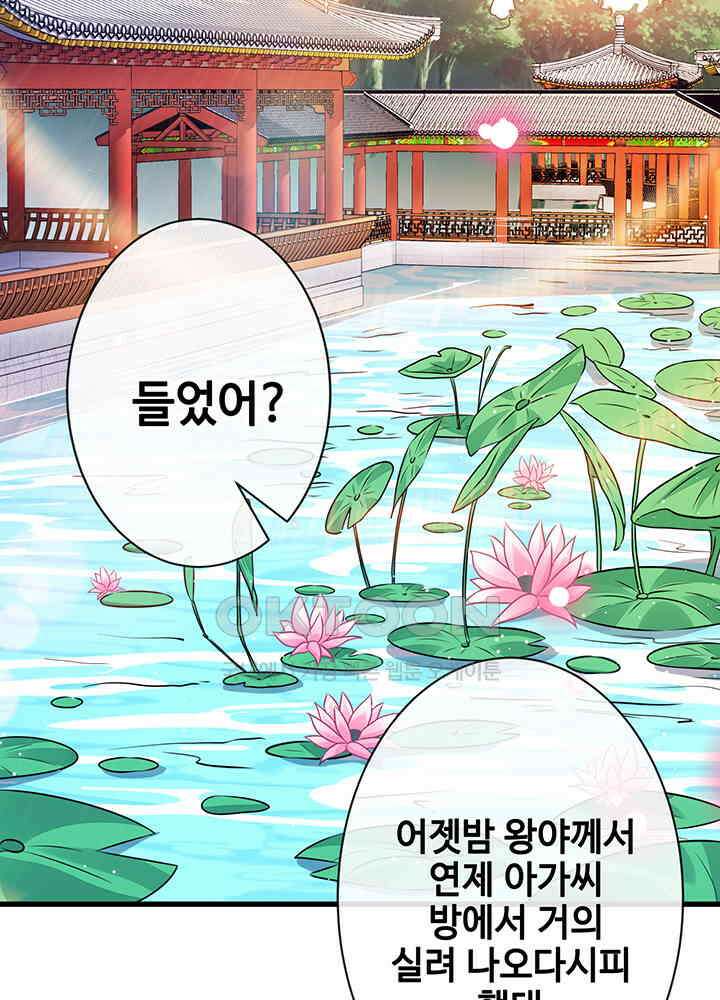 광비: 뚱보 악녀로 환생한 특수요원 16 46