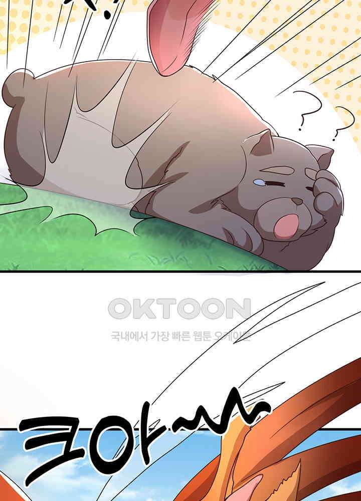 광비: 뚱보 악녀로 환생한 특수요원 234 47