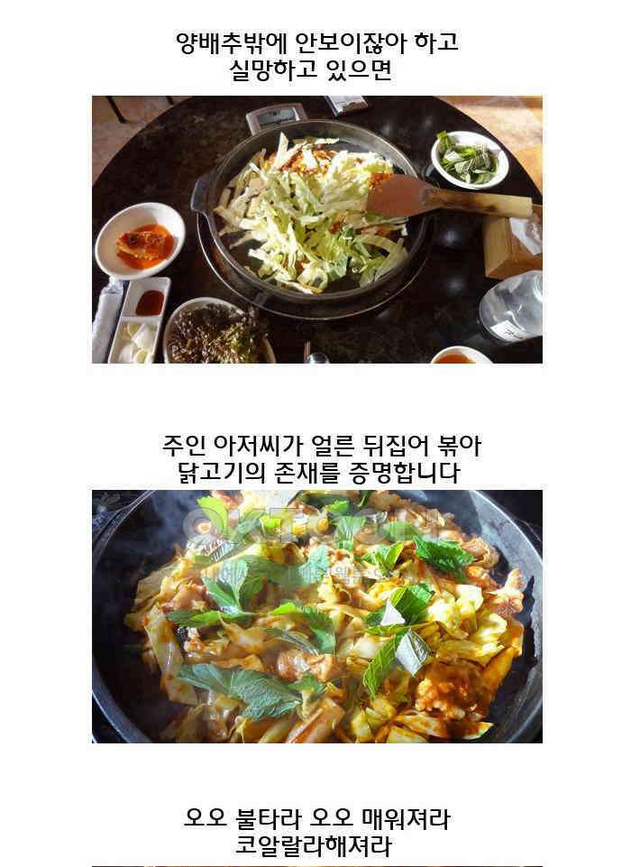코알랄라 104화 닭갈비 27