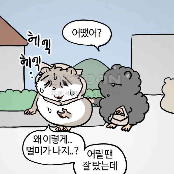 흔한햄 2부 30화 : 여행 녹초 2