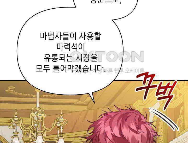 흑막 남주의 시한부 유모입니다 49화 13