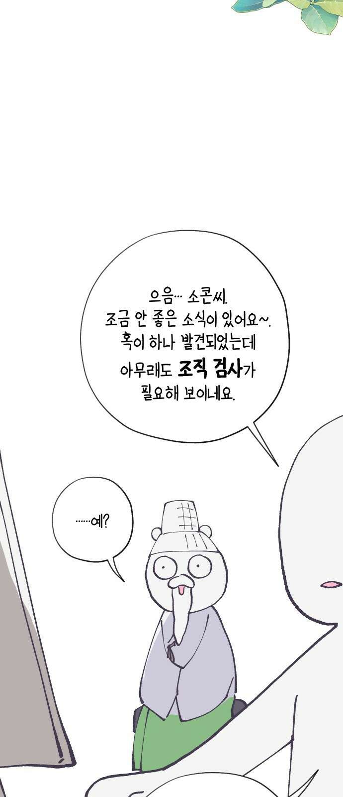 다비, 아찔하게 흐르는 시즌2 특별편+후기 49