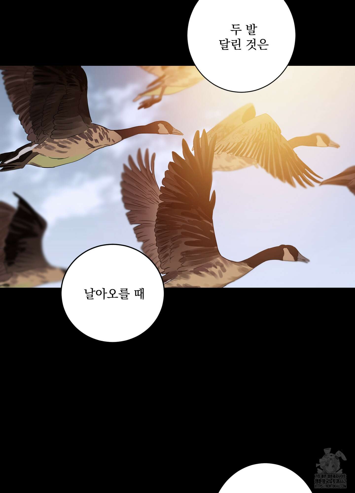 불쾌의 미학 27화 2