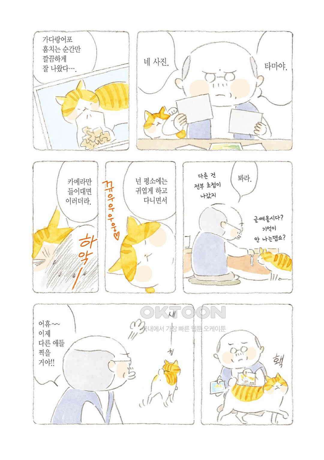고양이와 할아버지(컬러판) 111화 3