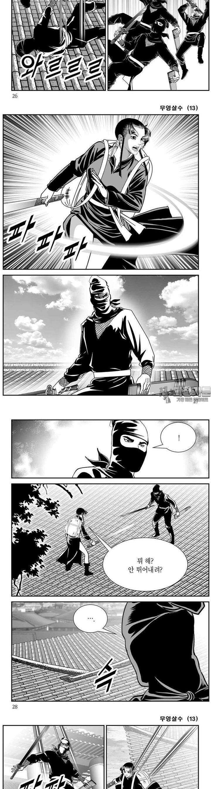 무영살수 13권 9