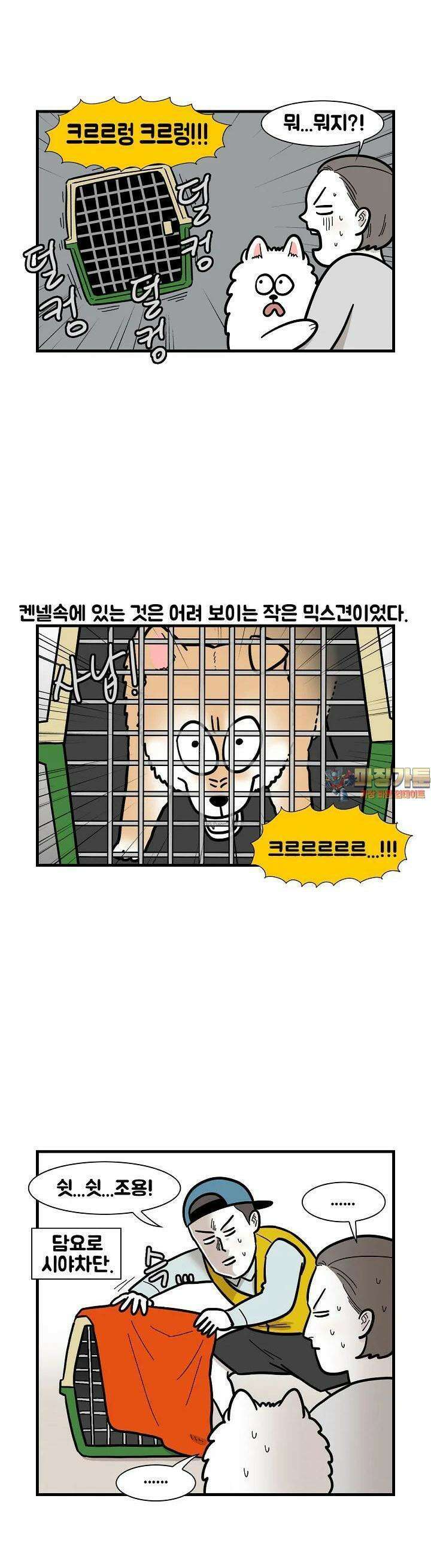 극한견주 54화 훈련소2 1