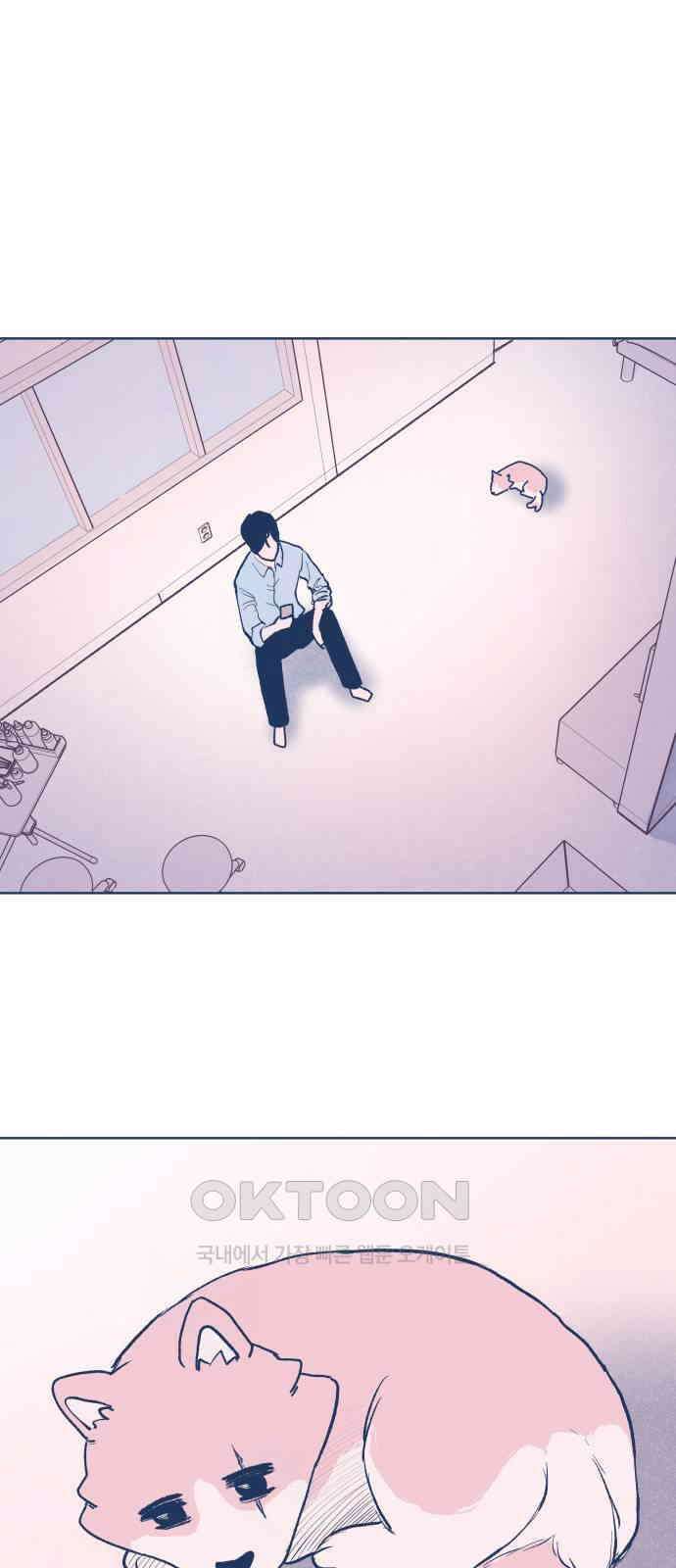 반려짐승 36화 13