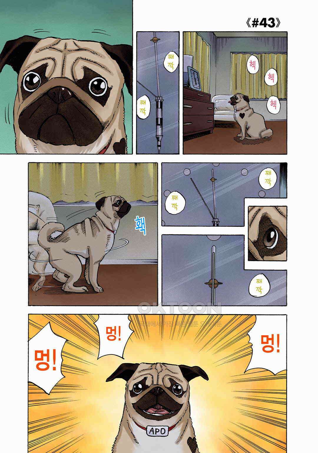 우주형제 43화 4