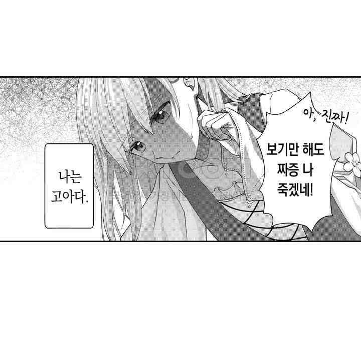 사랑에 빠진 바이올리니스트 1화 6
