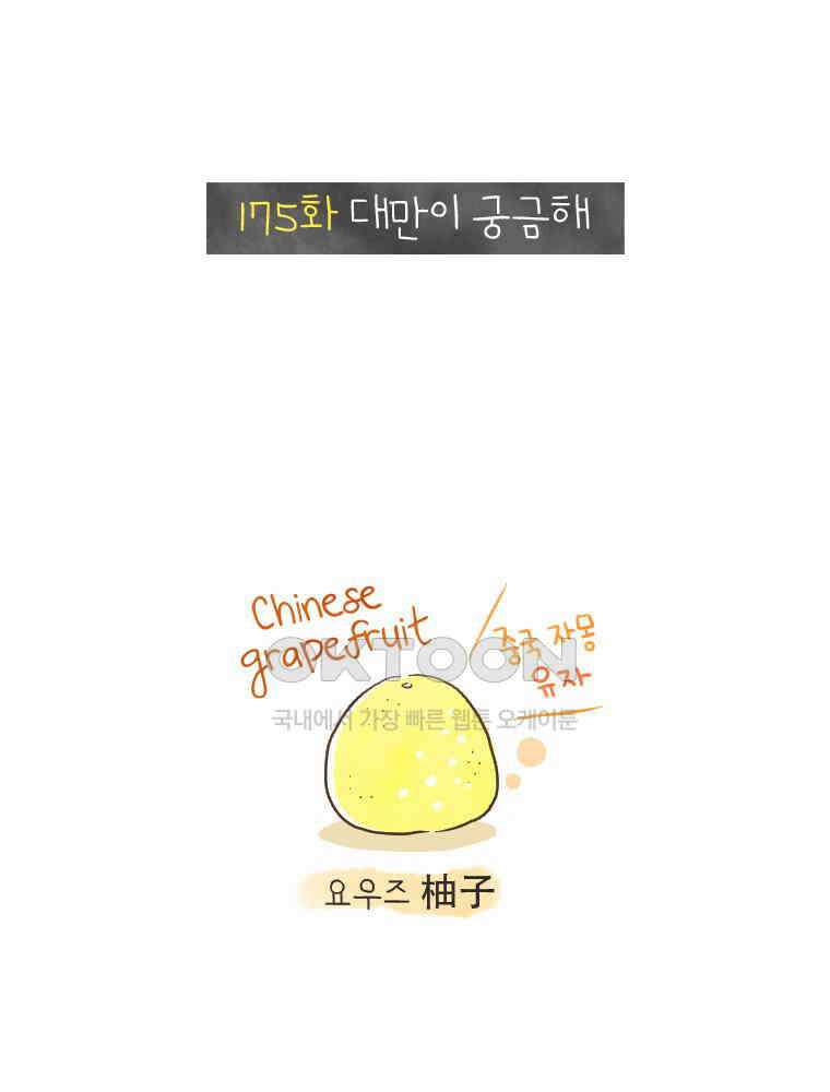 딩스뚱스 175화 대만이 궁금해 2