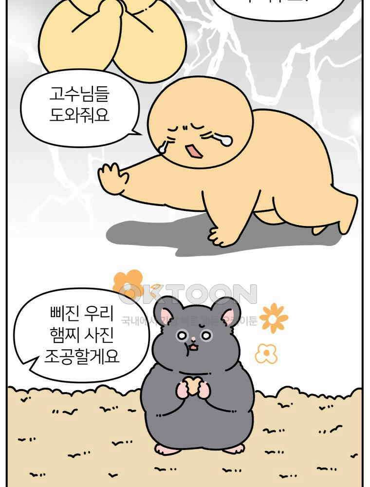 어쩌다 햄스터 26． 햄테리어 3