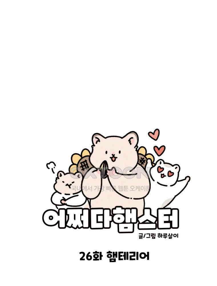 어쩌다 햄스터 26． 햄테리어 8