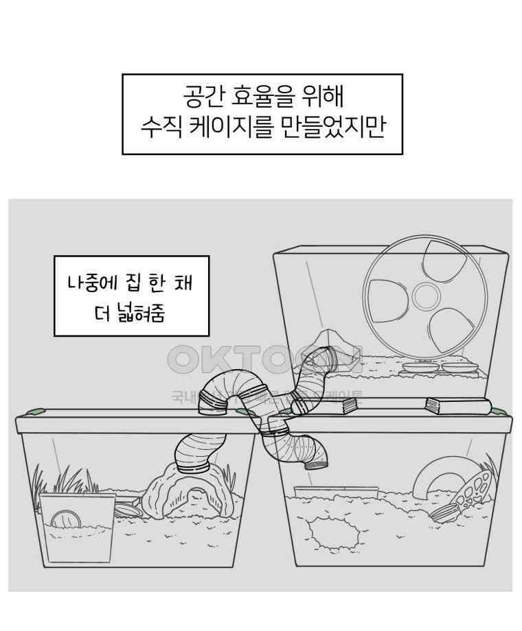 어쩌다 햄스터 26． 햄테리어 12