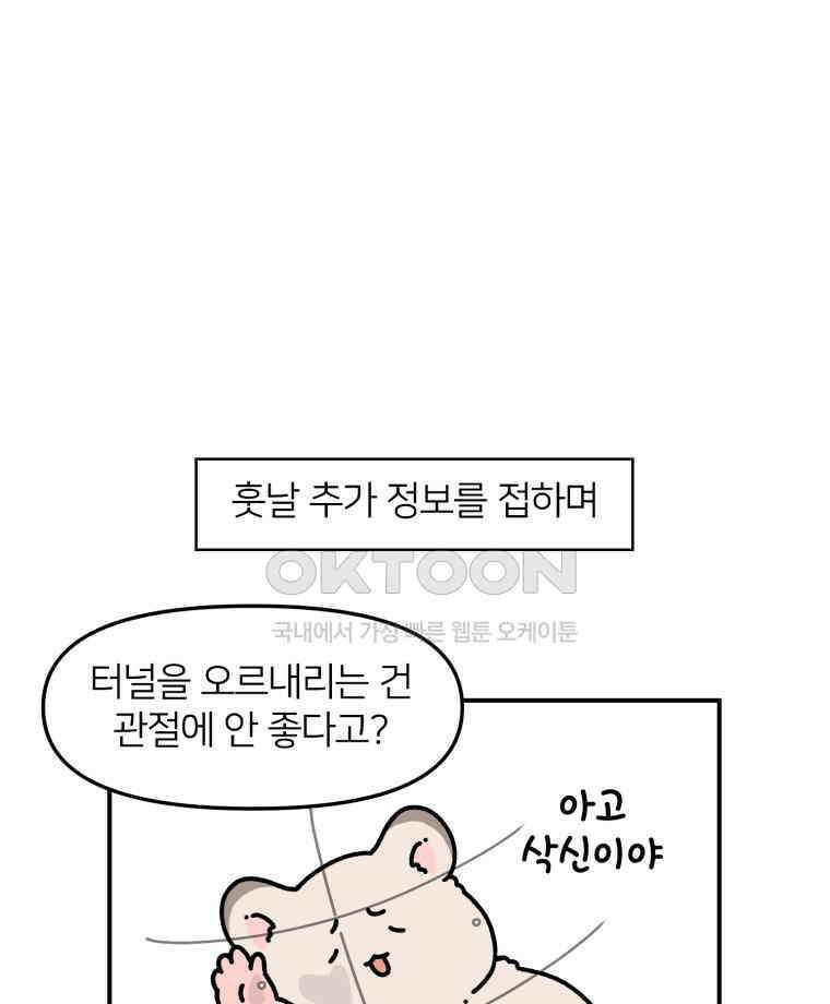 어쩌다 햄스터 26． 햄테리어 13