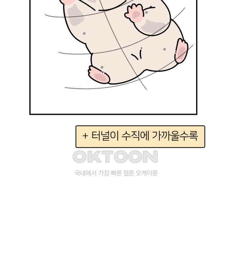어쩌다 햄스터 26． 햄테리어 14
