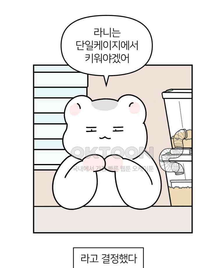 어쩌다 햄스터 26． 햄테리어 15