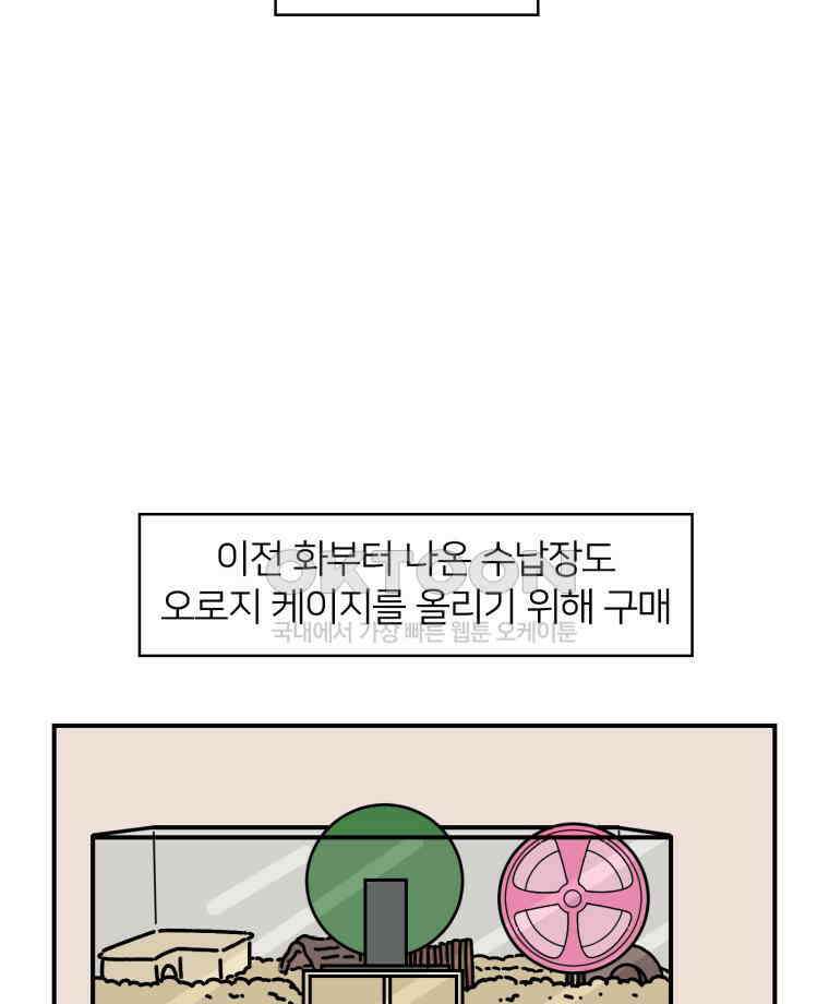 어쩌다 햄스터 26． 햄테리어 16