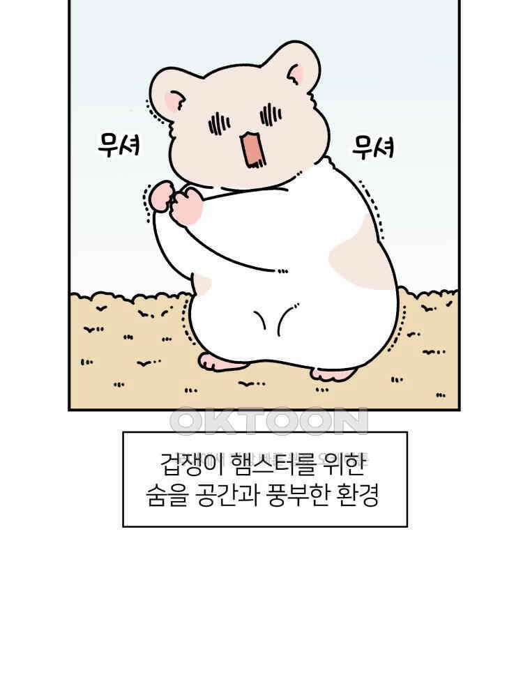 어쩌다 햄스터 26． 햄테리어 20