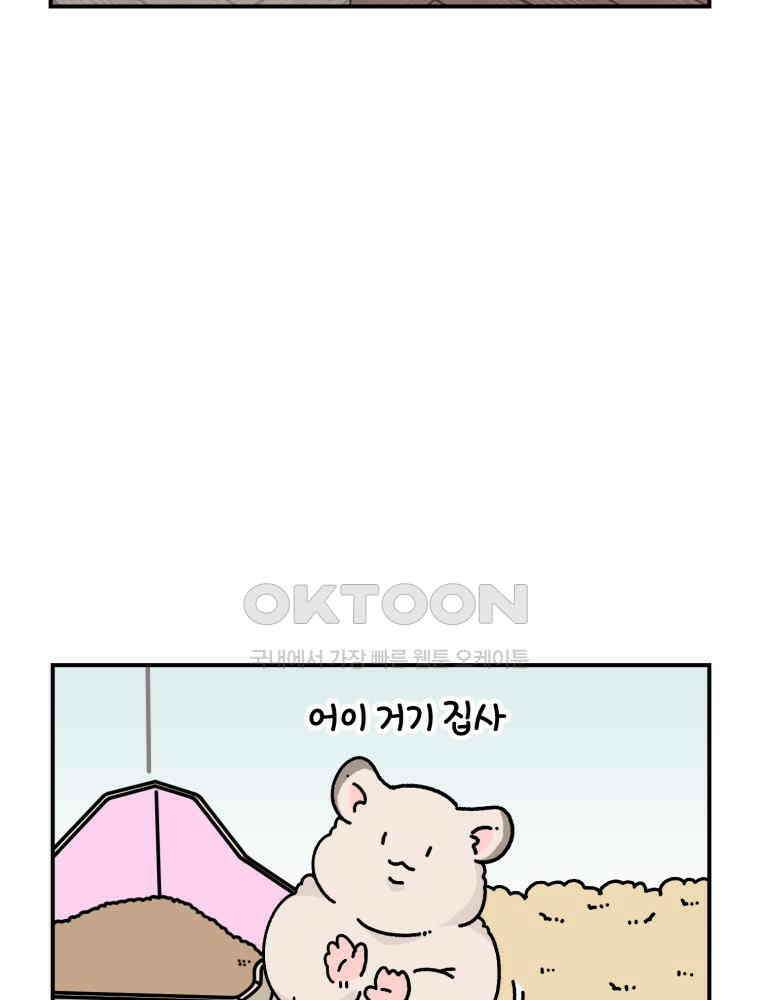 어쩌다 햄스터 31． 내가 몰랐던 너 12