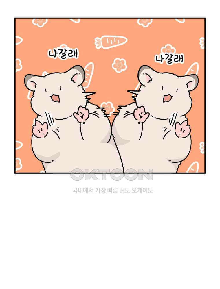 어쩌다 햄스터 31． 내가 몰랐던 너 15
