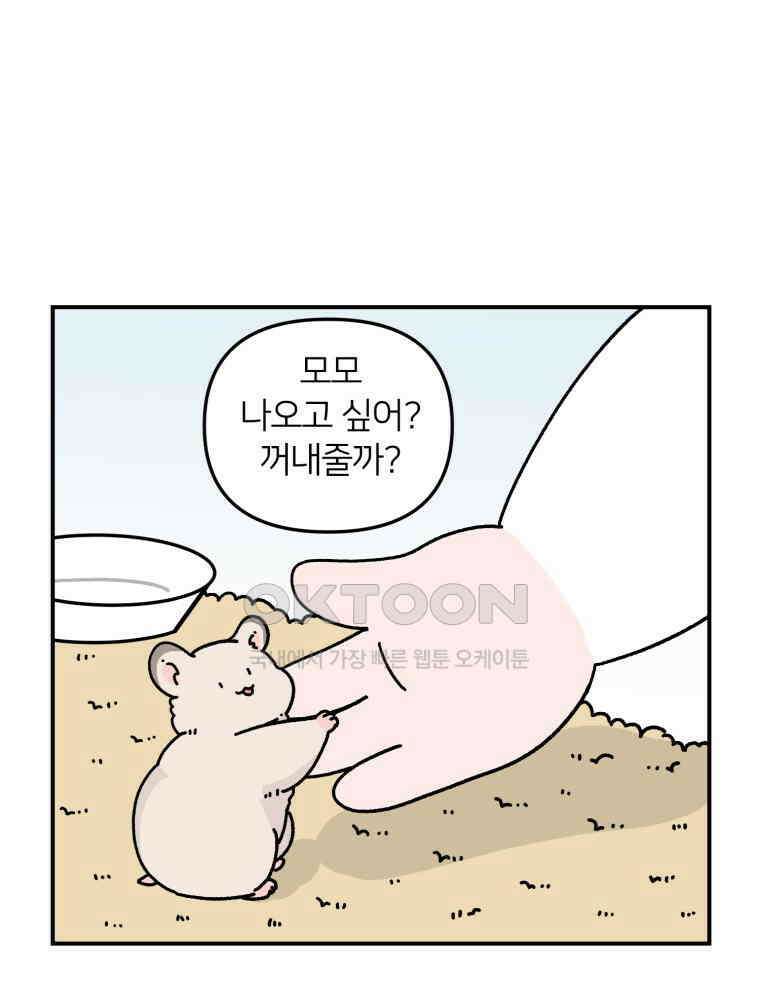 어쩌다 햄스터 31． 내가 몰랐던 너 16
