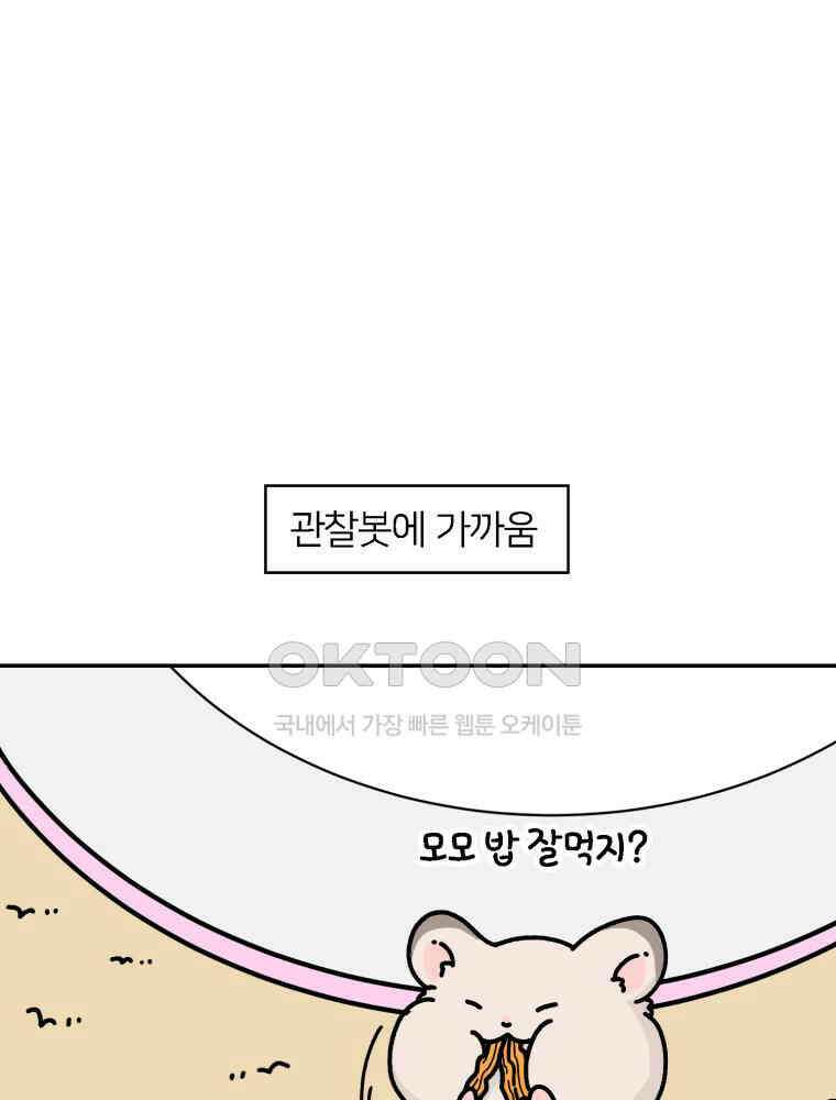 어쩌다 햄스터 39． 집사는 추근추근 9