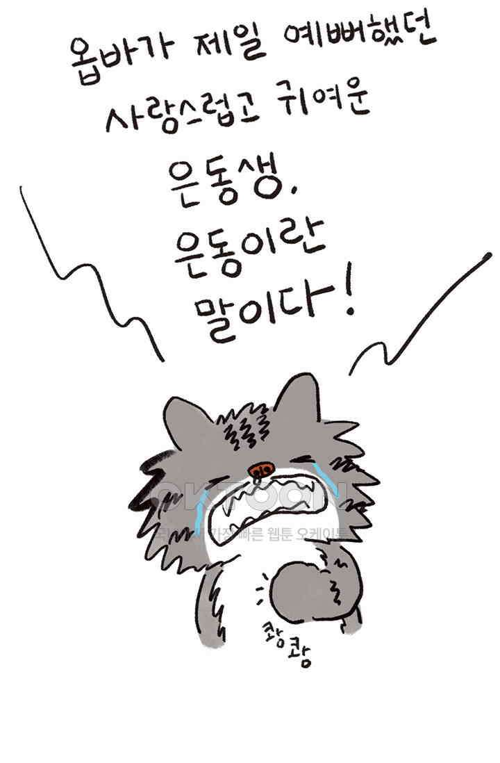 은동스+옹동스 은동스 232화． 은동 in NY 8