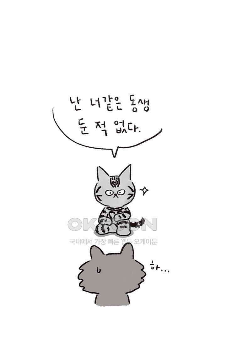 은동스+옹동스 은동스 232화． 은동 in NY 9