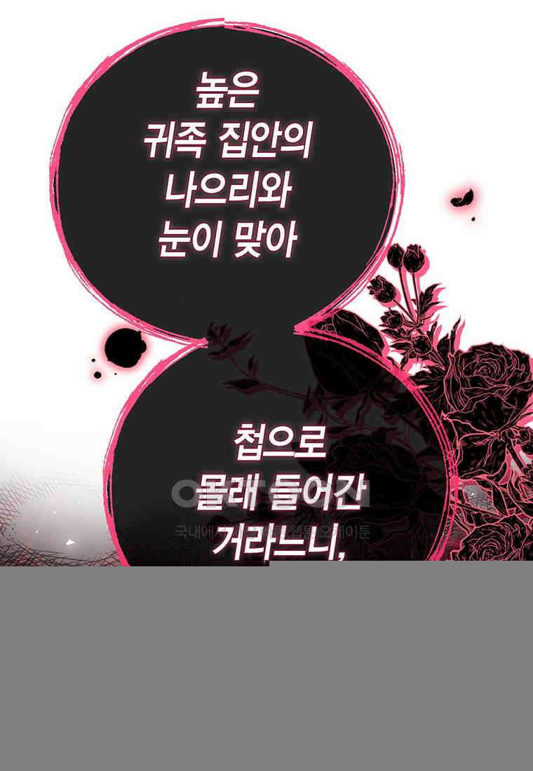약탈 마드모아젤 114화(외전6) 25