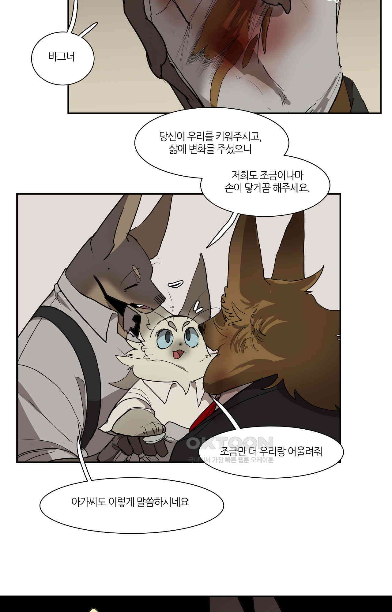 고양이 아가씨와 경호원들 356화 - 각자의 삶이 하나씩 엮이면 3