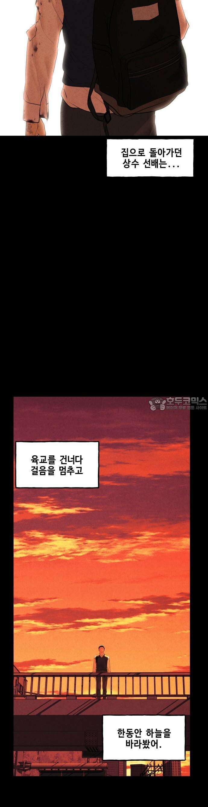 미래의 골동품 가게 135화 - 거북이 (7) 10