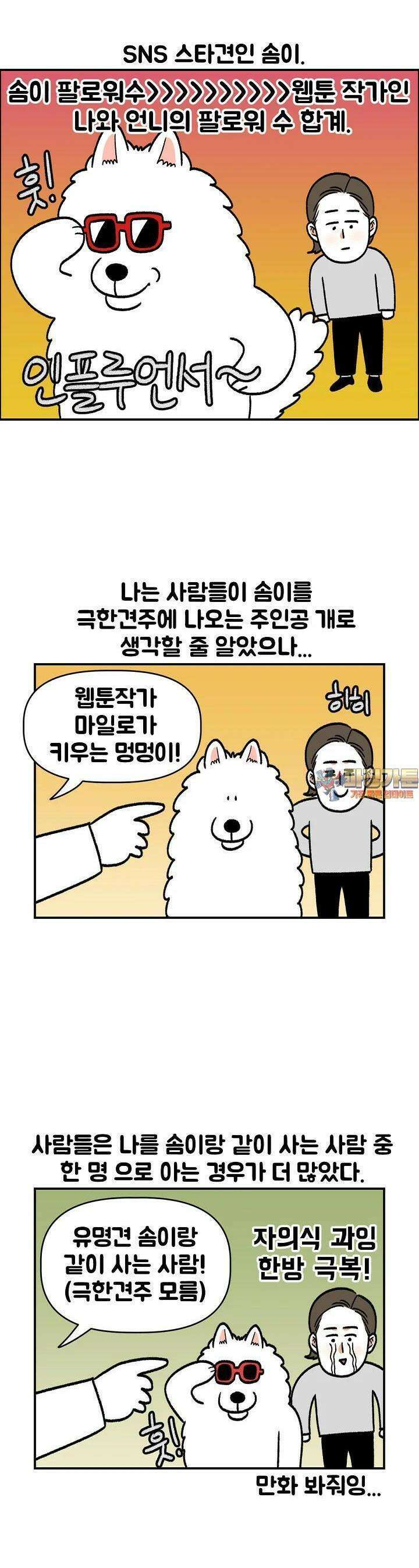 극한견주 외전 5화 스타견 솜이 [완결] 1