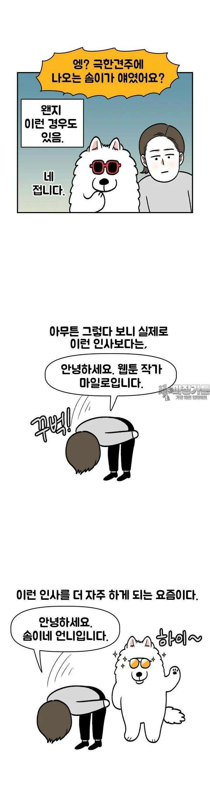 극한견주 외전 5화 스타견 솜이 [완결] 2