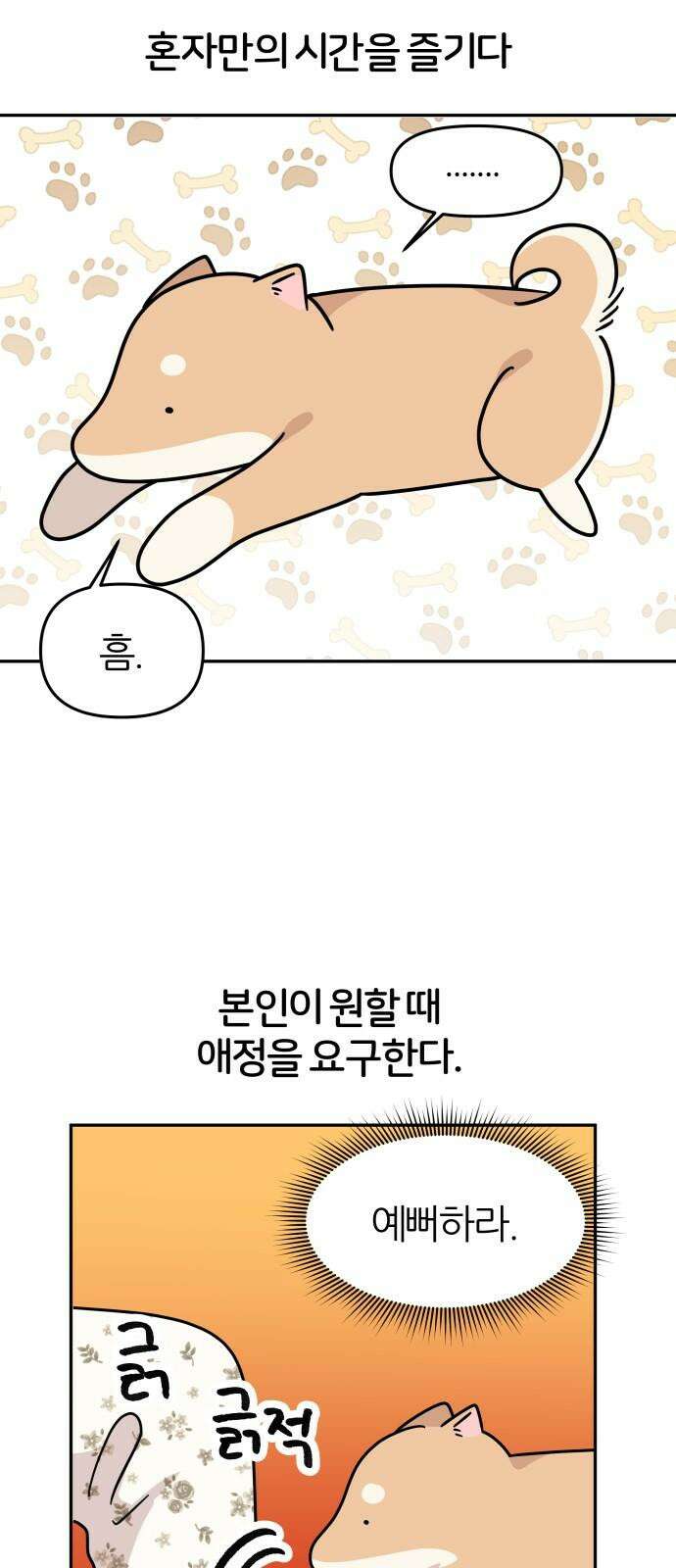 시바, 만만치 않다 17화 7